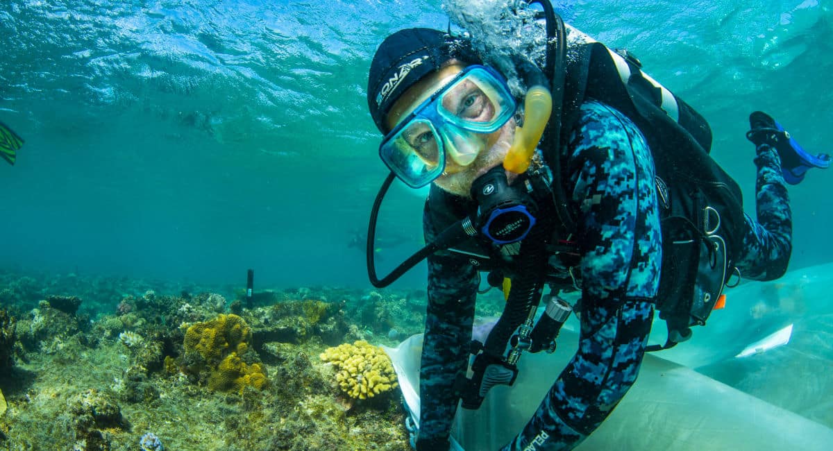 Divers installing curtain over controlled larval re-seeding site.